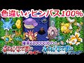 ポケモンRSで誰でも簡単に色違いヒンバス等を釣る方法！【ルビーサファイア 釣り乱数 ミロカロス】