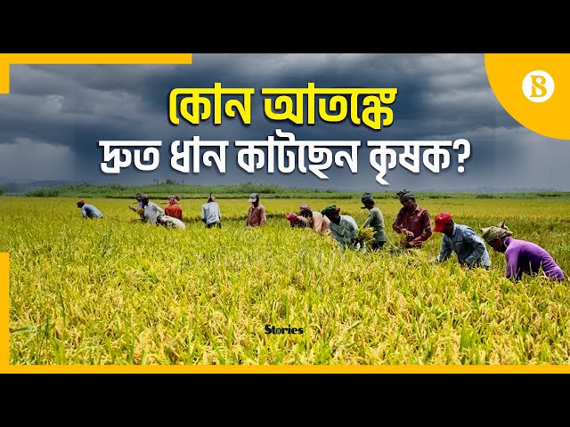 Osiyo guruhi BDSM Rus uy qurilishi minut