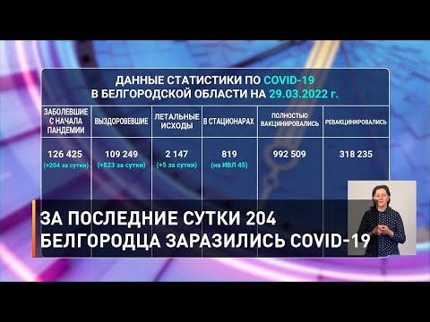 За последние сутки 204 белгородца заразились COVID-19
