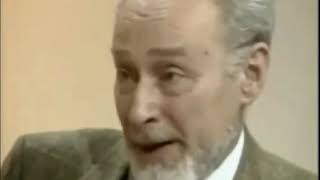 Primo Levi, Surviving Auschwitz