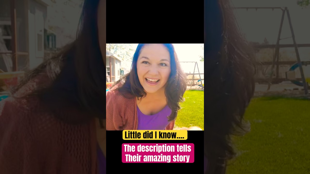 Little did I know they were the true heart of this channel all along 🐾💕💕