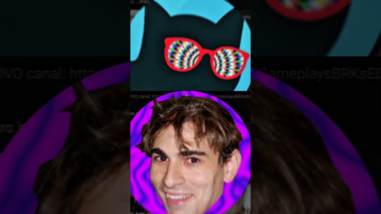 Quem é o melhor Youtuber? - FUNNY BLACK CAT VS BRKSEDU