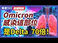 Omicron變種病毒感染這部位，是Delta的70倍！Omicron、Delta對肺部、支氣管的影響分別如何？| 健康1+1 · 直播