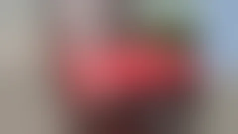 2000 stout Toyota| 5R| New Toyota