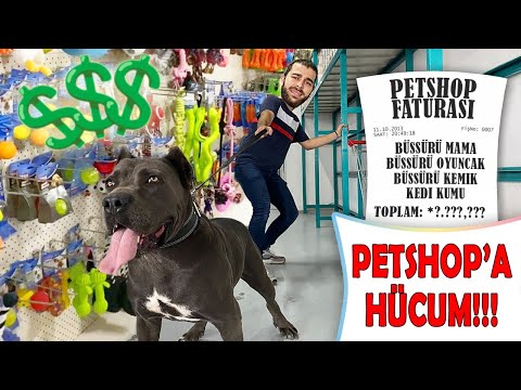 Video: Pet Scoop: Mağaza Emektar ve Köpeğini Alıyor, Köpek Araba Kazasında Sonra 2 Hafta Bulundu