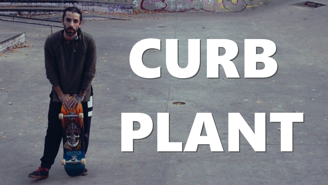 CRABSCHOOL | How to Curb Plant