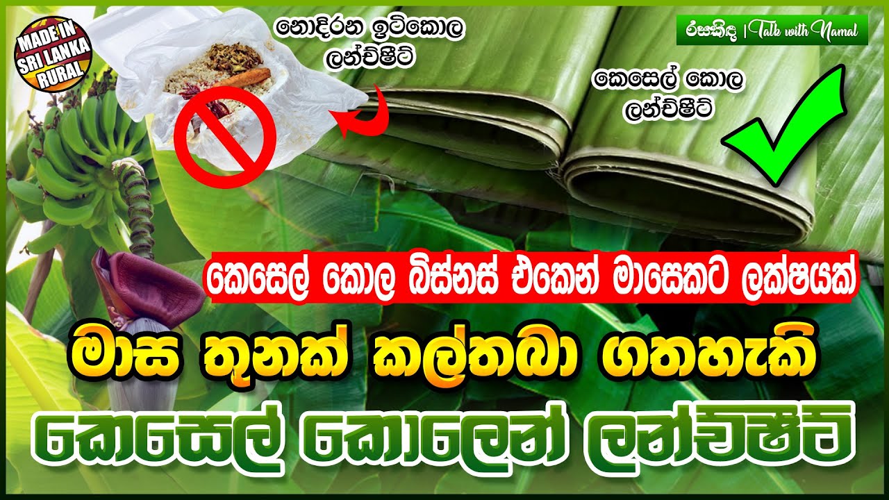 කෙසෙල් කොලෙන් මාසෙට ලක්ෂයක් | බත් ඔතන ලන්ච්ෂීට් ව්‍යාපාරයක් පටන්ගමු | Kesel Kola Lunch Sheet