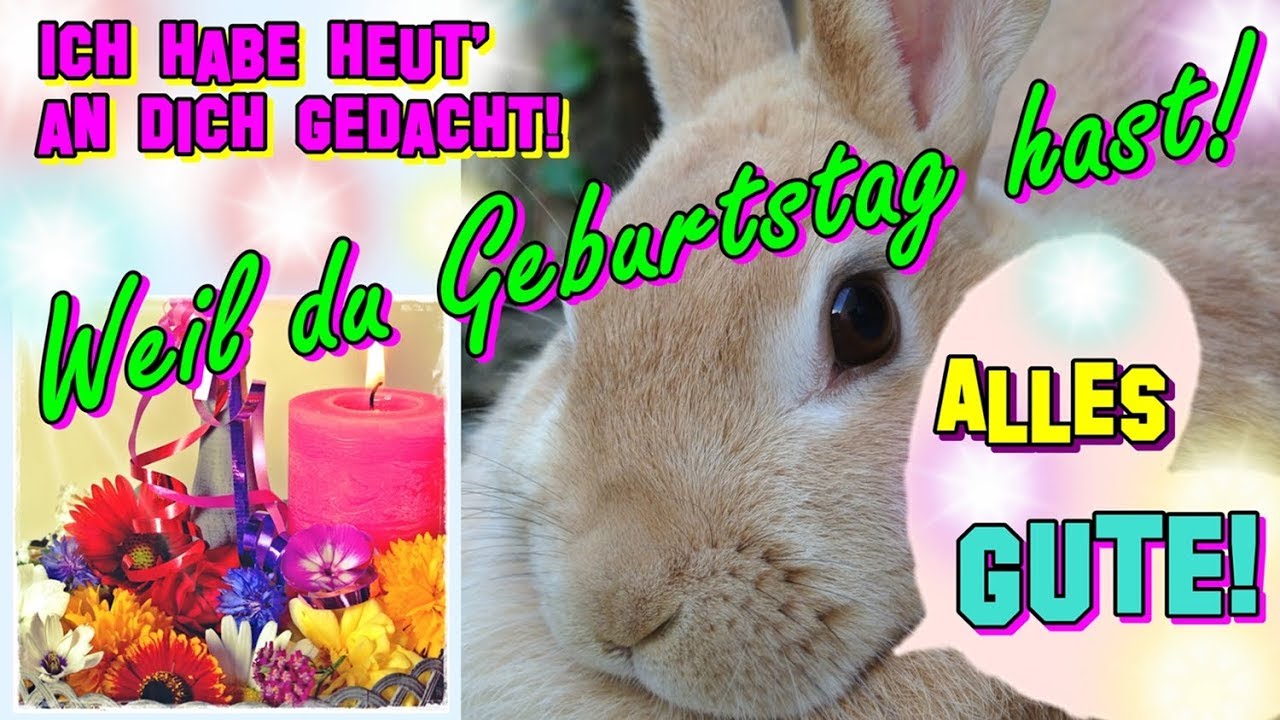 Susse Geburtstagsgrusse Geburtstagslied Susse Kaninchen Wunschen Alles Gute Herzlichen Gluckwunsch Youtube