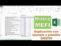 Como hacer una matriz MEFI con plantilla para descargar GRATIS