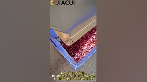 Automated Chili Sorting Machine|High Precision Sorting Technology, Boost Food Processing Efficiency!