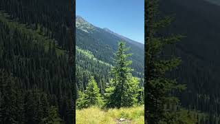 The single track on the Great Divide Mountain Bike Route.  Montana section near Seeley  Lake 2020