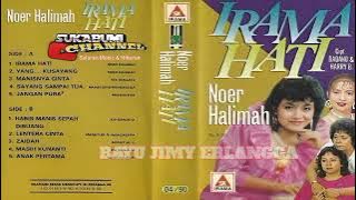 Download lagu Yang..... Sayang - Noer Halimah