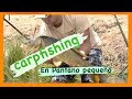 Carpfishing en pantano pequeño