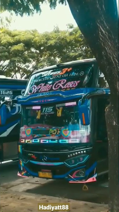 STORY WA 30 DETIK BUS PO HARYANTO HR 115 'WHITE ROSES'