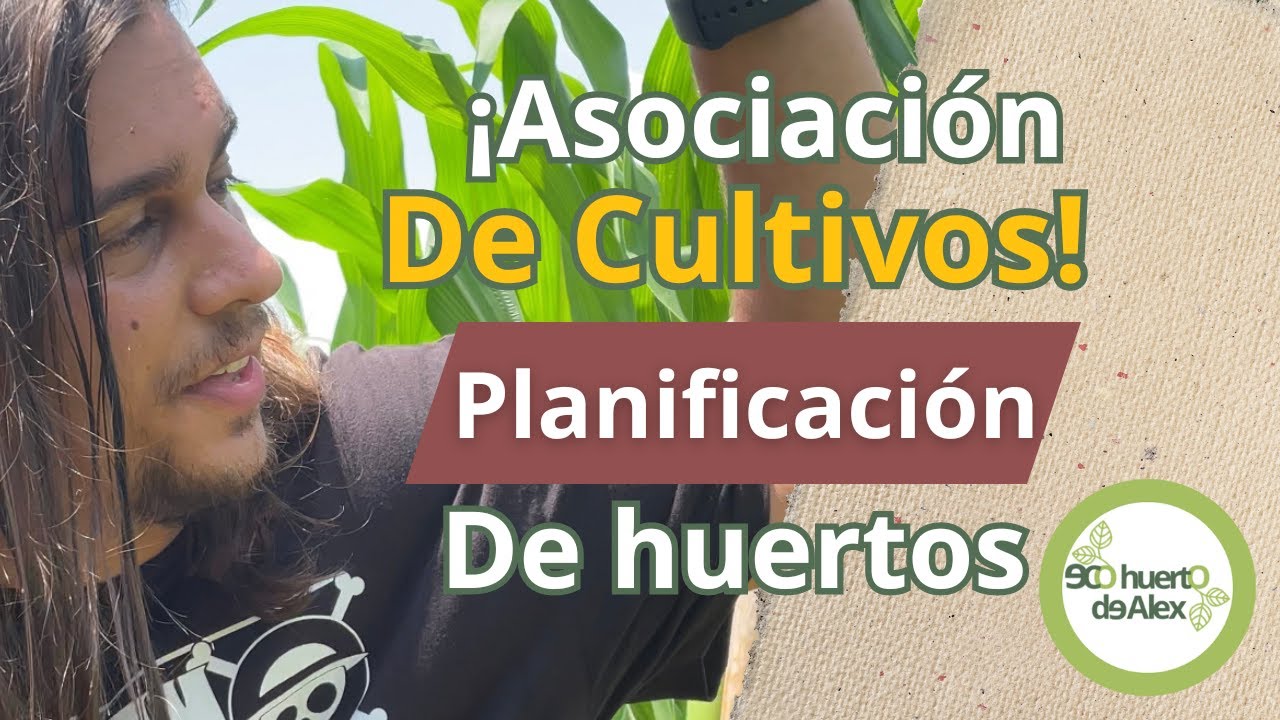 Asociaciones de Cultivos: ¡Aprovecha al máximo tu huerto!