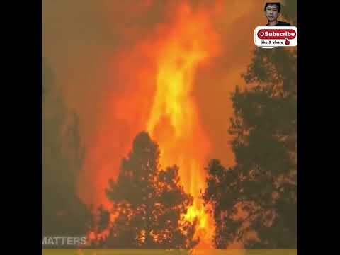 🎥 Thanks for watching!
ARMAN BATAD STUDIO is a channel that enjoys relaxation. Enjoy your time. :)
SUBSCRIBE MY CHANNEL.
https://bit.ly/36tnKIO
Download the TOKTOK App 👇👇👇
App Store:  https://bit.ly/3tEXPqN
use this referral number: 1111246090
para sa mga ipapadeliver, you can fill this form out for delivery
www.toktok.ph/delivery/1111246090
#firefighter
#foresthills
#shorts FIRE FIGHTERS | Foresthill High School threatened with fire, firefighters rescued