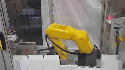 Automatic Cartoners from ESS Technologies