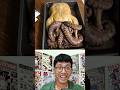 Octopus &amp; Chicken Feast 🐙🍗 #food #short #ai