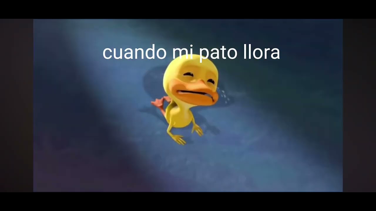 mi pato llora - YouTube