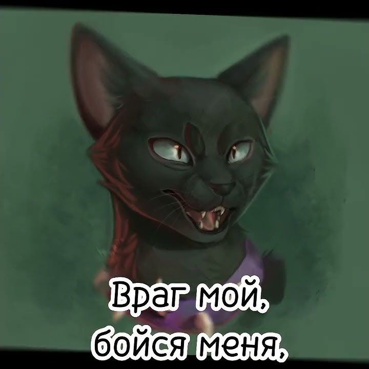 Градусы режиссер враг мой-бойся меня