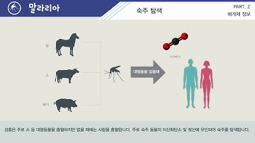 말라리아 개인보호가 최선의 예방입니다.