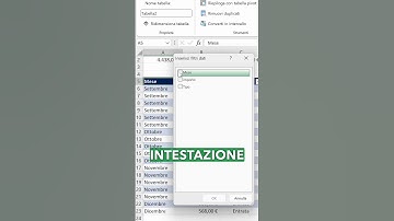 FIltrare le tabelle in Excel con gli Slicer