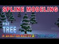 Spline modeling a Pine Tree in Animation:Master  (time-lapse)