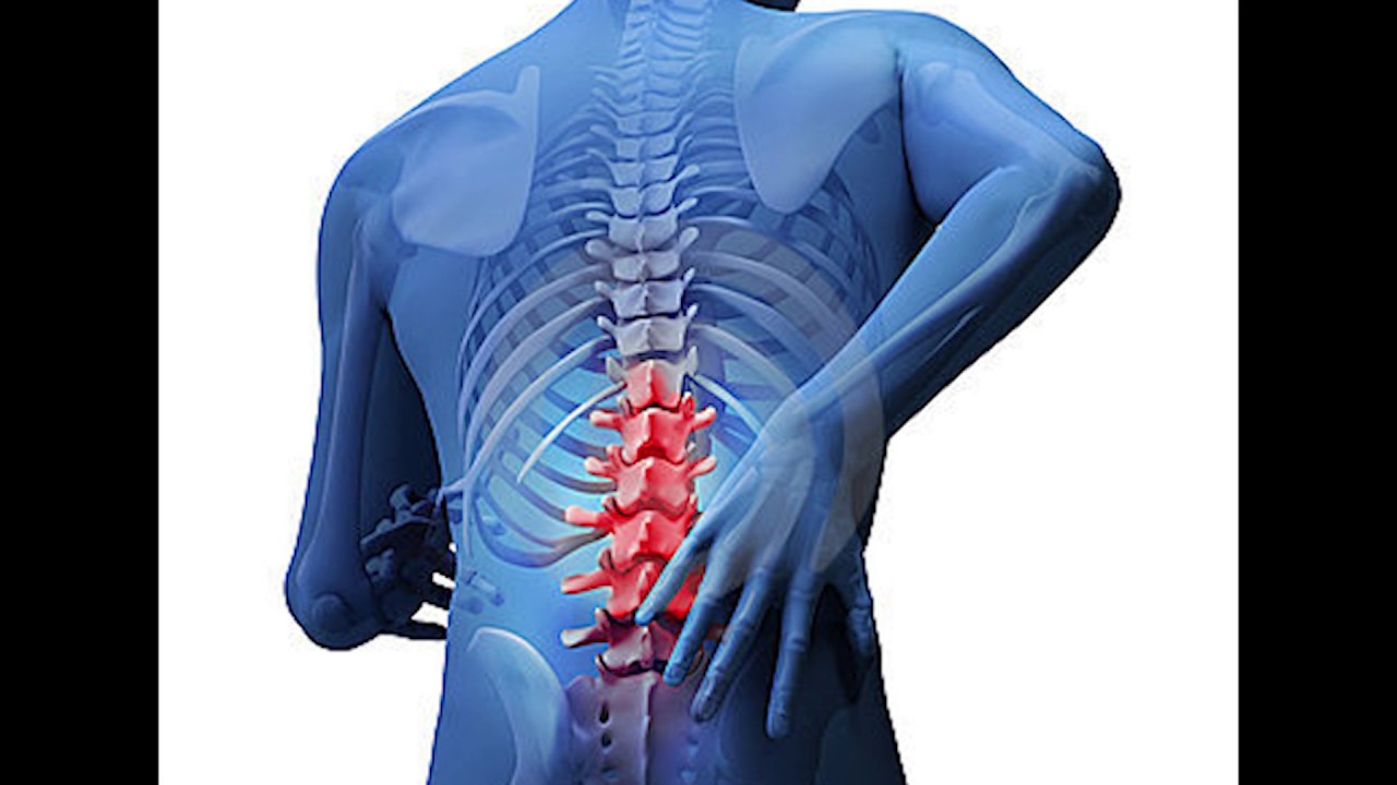 Fyziofitness - vývojová kineziologie