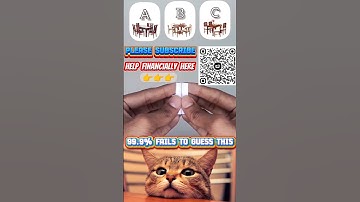 99.9% Fails to Guess Right. #trending #funny #shorts #cat