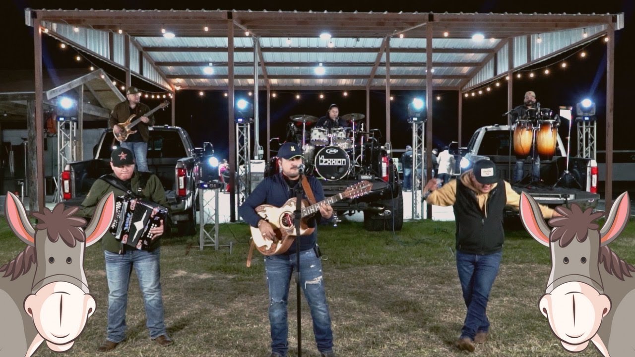 La Burra Orejona | La Lexxion