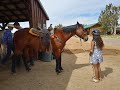 Zion Ponderosa Ranch Jill and Lexi&#39;s Adventure