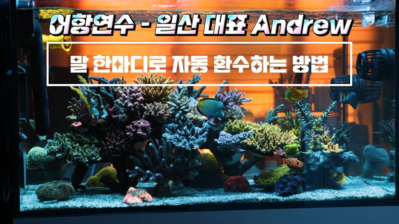 단언컨데 3자, 200리터 급에서 최고의 해수 어항입니다! 자동환수 여러분도 해보세요!!