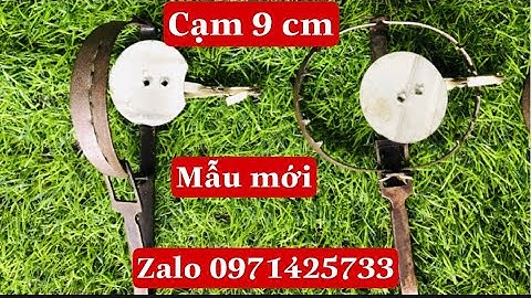 Cạm bẫy chuột cạm 9cm mẫu mới năm 2021 các bác tham khảo 0971425733_ hoàng anh săn bẫy