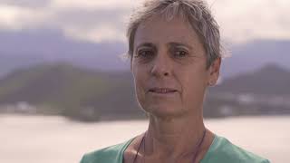 Histoires d’ici #8 - Collaborateur screenshot 5