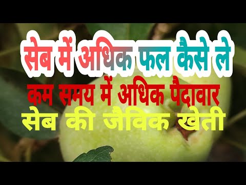 वीडियो: क्या मुझे एक से अधिक सेब के पेड़ चाहिए - स्व-परागण करने वाले सेब के बारे में जानकारी