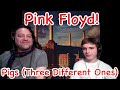 Pigs - Pink Floyd Father and Son Reaction!