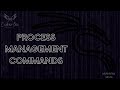 26 - Process Management Commands (top-htop-fg-bg-jops) - Linux course in Arabic