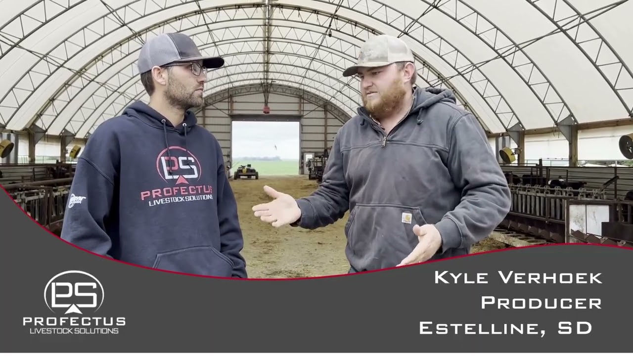 Customer Testimonial - Kyle Verhoek - calf grower - Estelline, SD