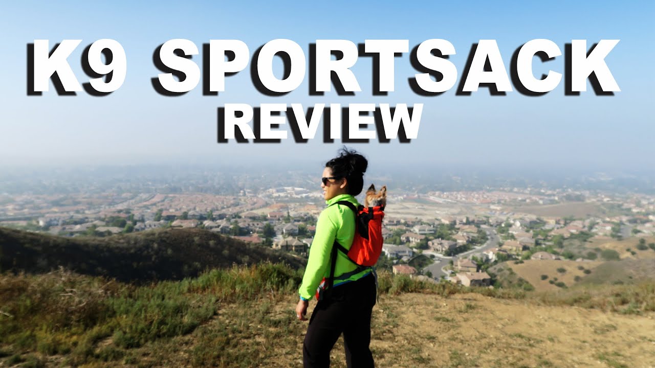 K9 Sports Sack Review YouTube