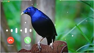 Enemies head PUBG Ringtone | Pubg Notification Ringtone | New Pubg Voice Message Ringtone |#Sms screenshot 2