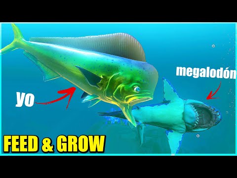 NUEVO PEZ VELA Y MAHI DEVORADOR DE TIBURONES - FEED AND GROW: FISH 