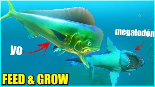 NUEVO PEZ VELA Y MAHI DEVORADOR DE TIBURONES - FEED AND GROW: FISH | Gameplay Español