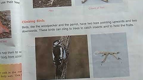 DAV Nahan Class-IV Science Lesson-5, Part-6