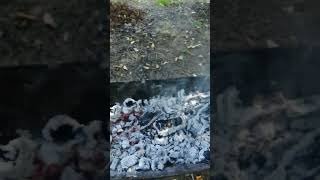 27 августа, готовим стейки на углях, мой день рождения shorts