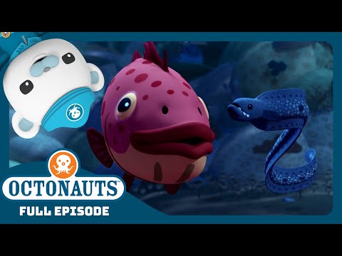 Octonauts The Operation Cooperation Season 4 Full Episode Cartoons For Kids