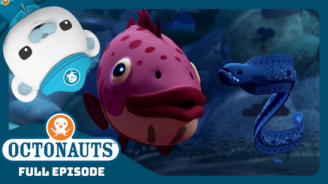 @Octonauts - ⛓️‍💥 The Operation Cooperation 🐠 | Season 4 | Full Episode | Cartoons for Kids