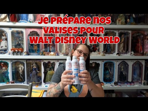 Vidéo: Quoi mettre dans votre sac Disney World Day