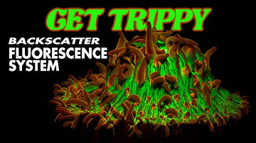 Backscatter Underwater Fluorescence Excitation Filter Promo