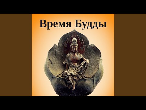 В лесу auf YouTube ansehen