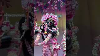 Radhe Radhe Ji 🌼💕😍 #radhakrishn #krishn #krishnwold #viralreel #radharani #viral #gopal